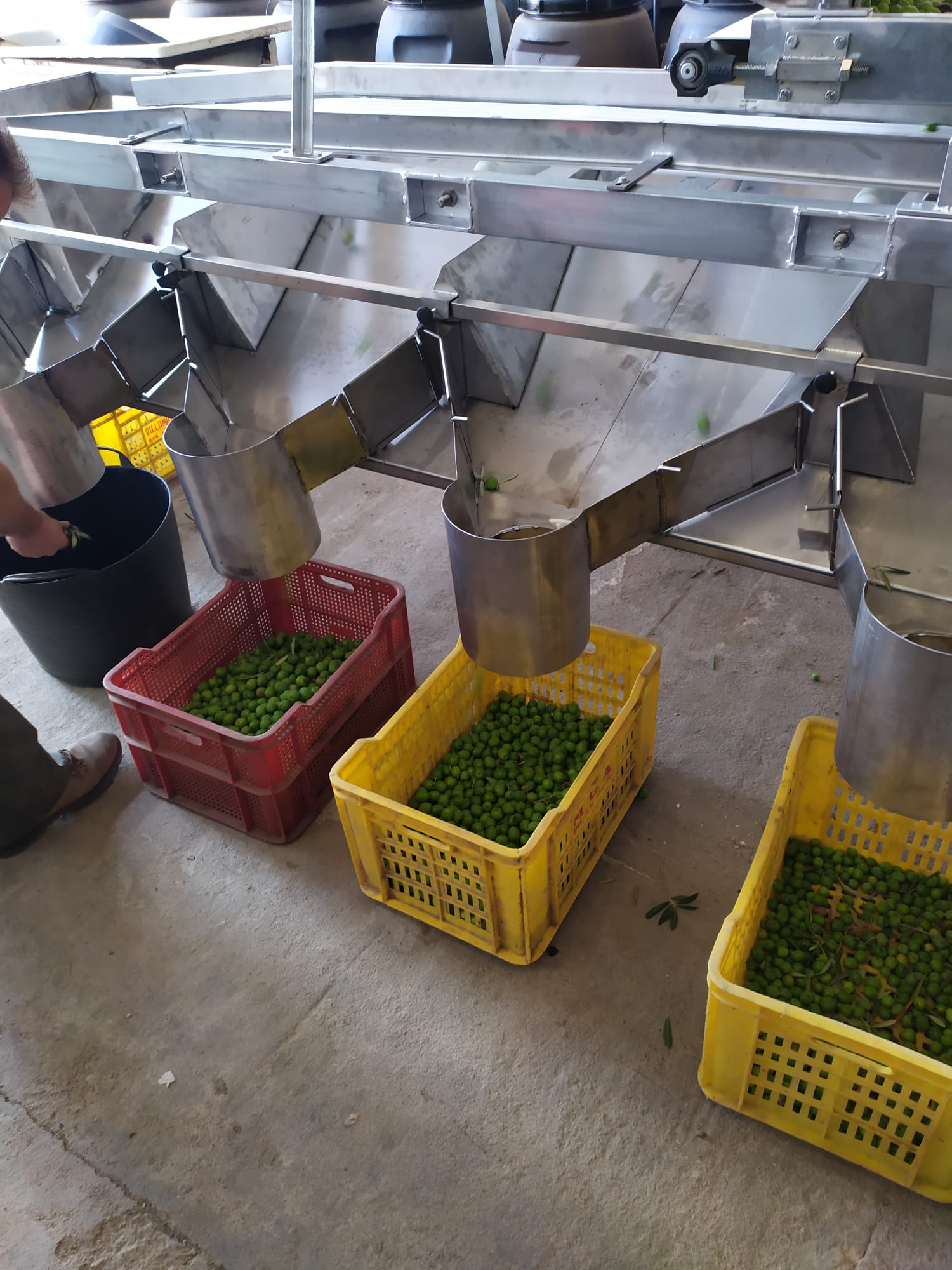 1fc836f2-cb0f-4b59-94ab-d58c15aeafe3