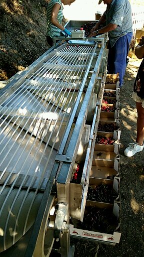 63a71ec9-3e59-4d18-bb5c-748f9d0ad999