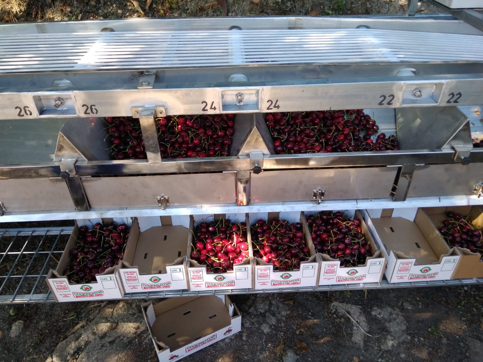 9a8286e7-0c2f-413a-95d2-58f92a927602